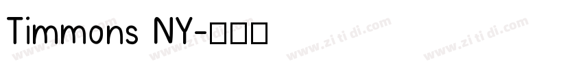 Timmons NY字体转换